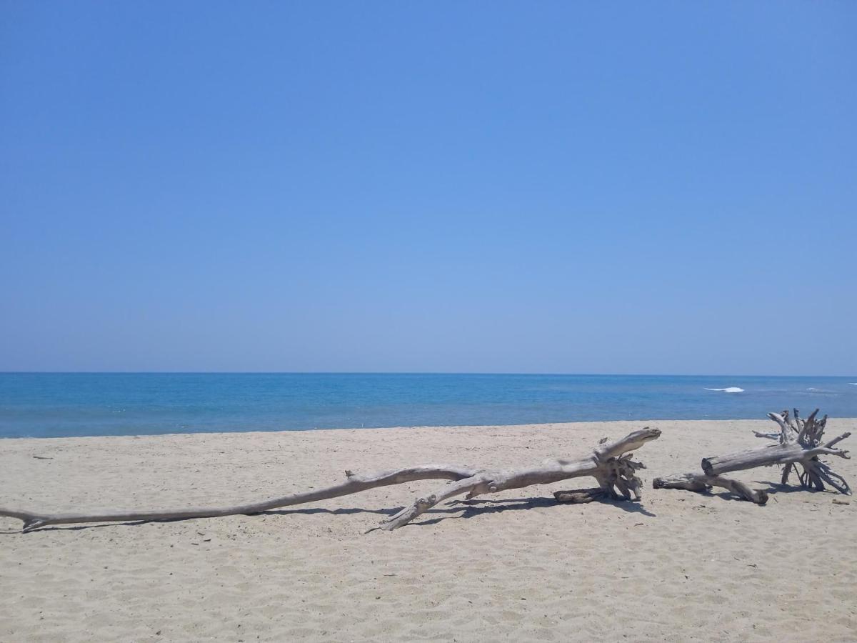 Bob Marley Beach Guachaca エクステリア 写真